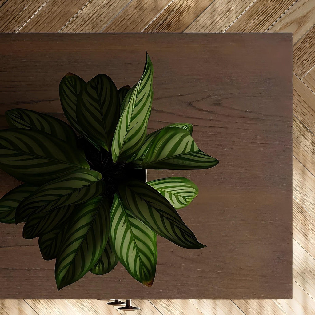 Buffet Arden en noyer foncé